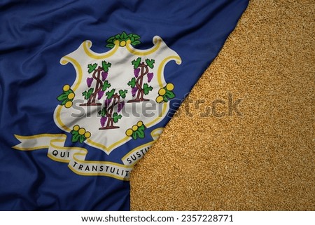 wheat grain on the waving colorful big flag of connecticut state .macro shot.