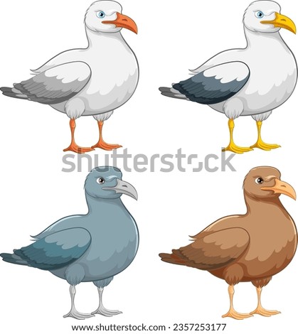 Four seagulls are standing isolated on a white background in a vector cartoon illustration style