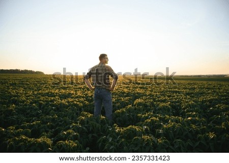 Agronomist inspecting soya bean crops growing in the farm field. Agriculture production concept. young agronomist examines soybean crop on field in summer. Farmer on soybean field.