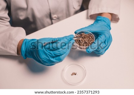 Scientists look at soil used to grow samples of an ecological skin care experiment in a nighttime lab development concept. Research with plants and scientific extraction in glassware. 
