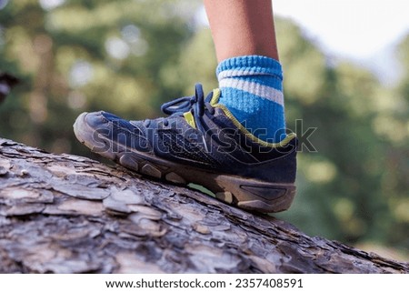 Close-up child's feet walk along the log of a fallen tree. a child in sneakers walks on a fallen tree. camping in the woods.