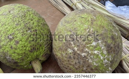 Close up picture of breadfruit with blurred background