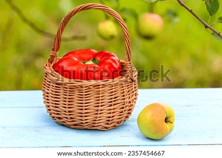 A large red sweet pepper lies in a basket. Next to an apple Royalty-Free Stock Photo #2357454667