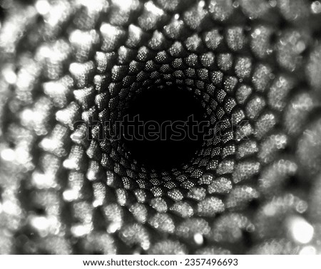 an endless spiral of balls. recursion ends with a black hole. black and white Royalty-Free Stock Photo #2357496693
