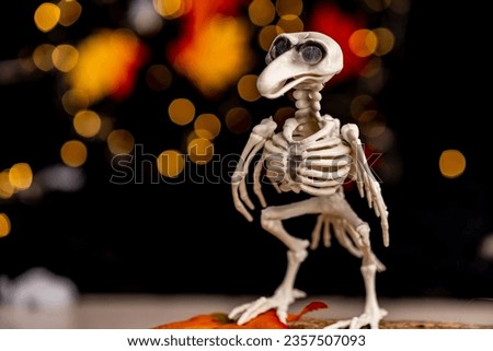halloween toy bird skeleton decoration