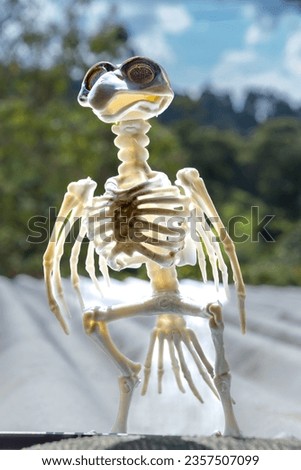halloween toy bird skeleton decoration
