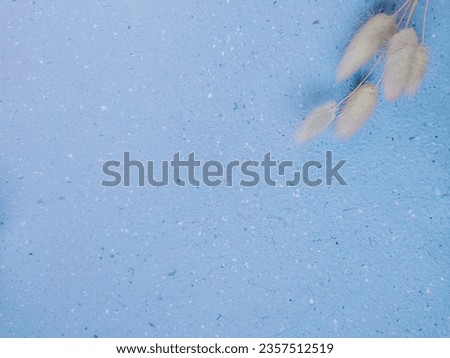 Beautiful blue floral minimal composition. Brown soft lagurus or rabbit's tail grass texture background. Springtime concept.
Cosmetics product advertising backdrop. Flat lay top view copy space.