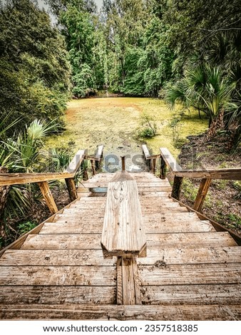Wooden steps lead down to duckweed-covered Catfish Hotel, an off-line sink at Manatee Springs State Park, Florida