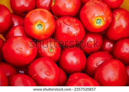 red washed tomatoes in large quantities lie on top of each other for further harvesting Royalty-Free Stock Photo #2357520857