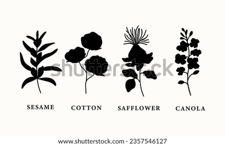 Set of flat sesame, safflower, canola, cotton Royalty-Free Stock Photo #2357546127