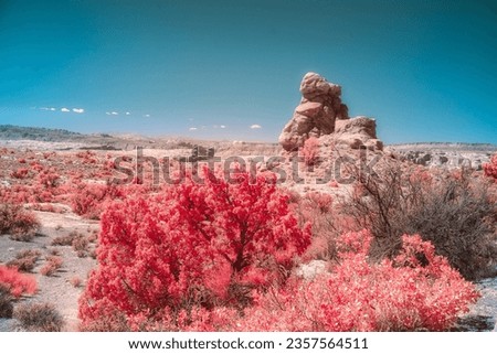 Full Spectrum Infrared photography taken at Moab National Park