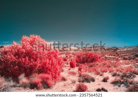 Full Spectrum Infrared photography taken at Moab National Park