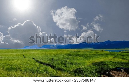 Grass. Fresh green spring grass with dew drops closeup. Sun. Soft Focus. Abstract Nature Background. field, sunrise and blue sky