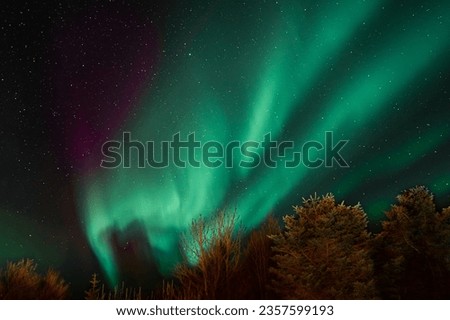 Stunning turquoise aurora borealis with purple nuances in the starry sky, northern lights in Iceland