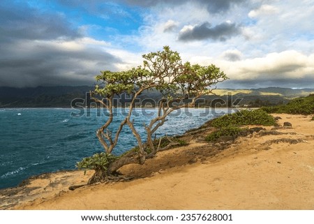 seascape photograph of the coastline of Oahu, Hawaii.