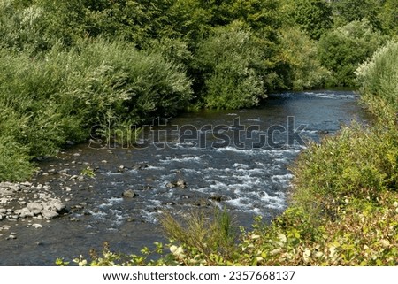 Salmon Creek running through Oakridge, Oregon