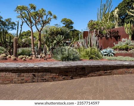 Succulent Garden at Sydney Botanic Gardens Royalty-Free Stock Photo #2357714597