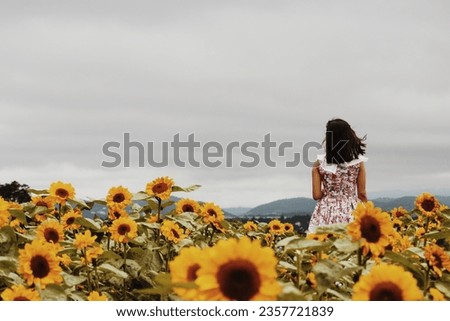 Lost in Da Lat, Vietnam, the city of flowers  Royalty-Free Stock Photo #2357721839