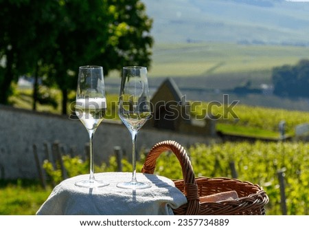 Tasting of premier cru sparkling white wine champagne with view on green pinot noir, meunier vineyards of Hautvillers, Champagne, France Royalty-Free Stock Photo #2357734889
