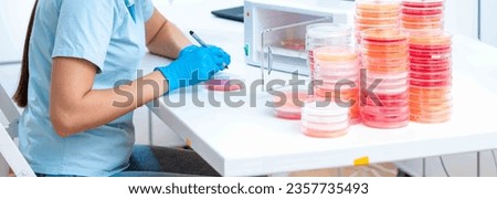 Gene regulation studies: Petri dishes are employed to study gene regulation mechanisms, including transcriptional regulation or epigenetic modifications Cells or organisms are cultured in th Royalty-Free Stock Photo #2357735493