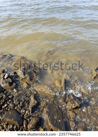 rocks and coral on the beach