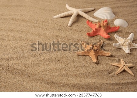 Beautiful sea stars and shells on sand, space for text