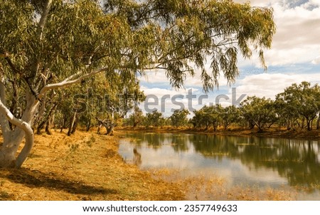 A creek passing between gum trees in Camooweal National Park in Queensland, Australia. Royalty-Free Stock Photo #2357749633