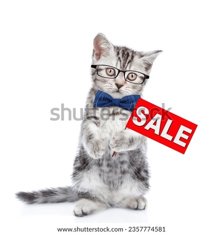 Smart kitten wearing eyeglasses and tie bow standing on hind legs and holds signboard with labeled "sale". isolated on white background