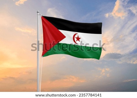 Western Sahara flag waving on sundown sky