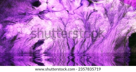 abstract landscape of the deserts of Africa from the air emulating the shapes and colors of the forest at night, conceptual photo,