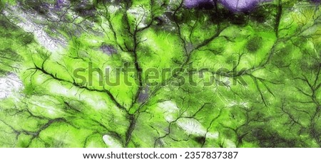 abstract landscape of the deserts of Africa from the air emulating the shapes and colors of the forests in spring, diffuser filter, conceptual photo,
