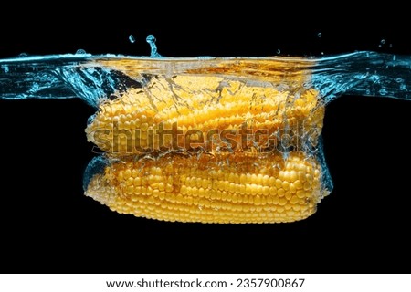 Pair of husked corn cobs thrown underwater with splashes on black.