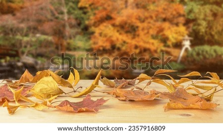 Beautiful autumn leaves on wooden table outdoors