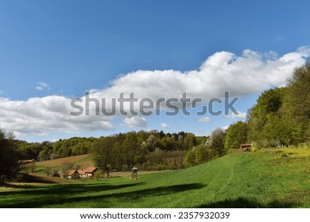 Slovenia, green rural landscape with forest and meadow, clouds and blue sky