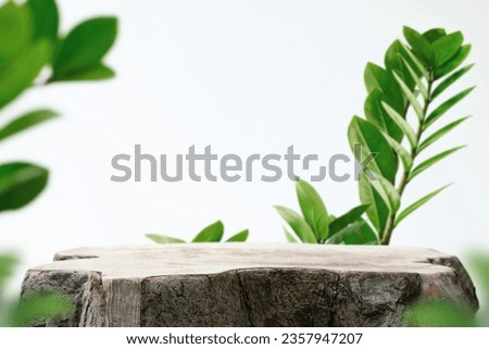 Wood podium tabletop floor  blurred green leaf on white wall nature background.Beauty cosmetic natural product placement pedestal display,jungle summer concept. Royalty-Free Stock Photo #2357947207