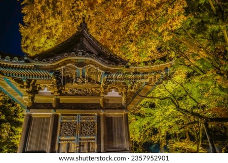 Autumn night in the Japanese garden