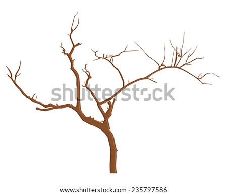 Vintage Dead Tree Branches
