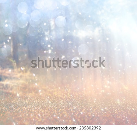 abstract photo of light burst among trees and glitter bokeh . image is blurred and filtered .