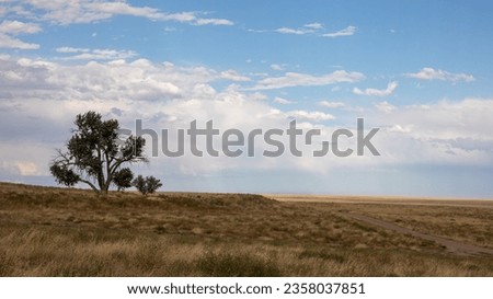 The grassy plains of eastern Colorado. Blue sky, dark storm clouds and yellow grasses in the foreground with two stark trees on the horizon.  Tall grasses on the high plains.   Royalty-Free Stock Photo #2358037851