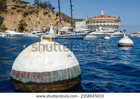 Avalon Harbor on Catalina Island seen from unique water angle. Seagull on mooring in foreground, boats in center, and the iconic Avalon Casino Ballroom in background with flags flying.
