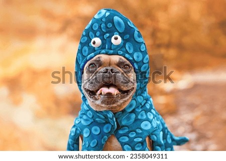 Happy French Bulldog dog wearing funny octopus Halloween costume with funny eyes  Royalty-Free Stock Photo #2358049311