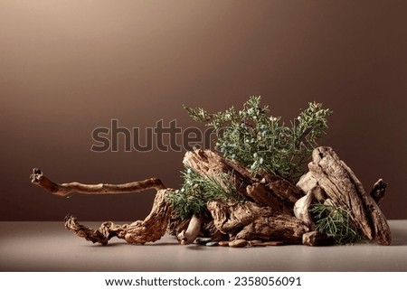 Abstract nature scene with a composition of juniper and dry snags. Neutral beige background for cosmetic, beauty product branding, identity, and packaging. Natural pastel colors. Copy space. Royalty-Free Stock Photo #2358056091