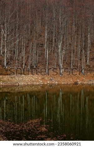 Scenic view of lake by trees against sky, Lago Scuro, Ventasso. Italy