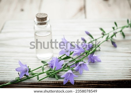 Campanula rotundifolia: a natural remedy, artistically arranged on rustic wood and a tincture of flowers for use by the herbalist in an alternative treatment. Royalty-Free Stock Photo #2358078549