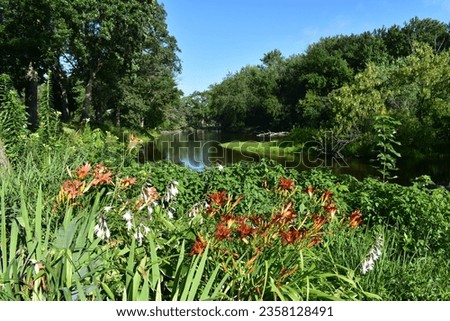 Colorful Flowers by Fox River, Burlington, Wisconsin