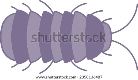 Isopod pill bug caterpillar insect bug