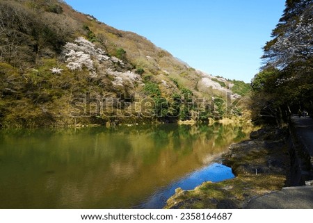 Spring Kyoto sightseeing Hozugawa River rafting