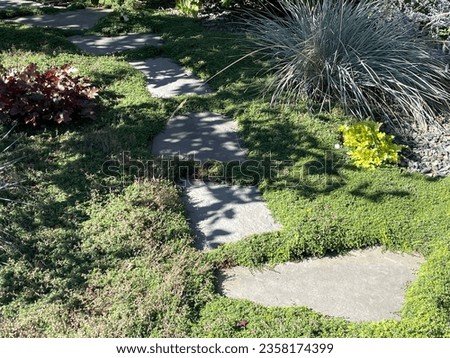 Stepping stones set in the garden with creeping thyme used as a ground cover that gives the appearance of grass Royalty-Free Stock Photo #2358174399