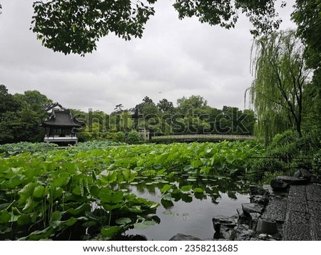 water park, lotus garden, outdoor garden , parks in china