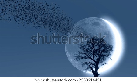 Silhouette of birds with lone dead tree and new moon against amazing sunset "Elements of this image furnished by NASA" Royalty-Free Stock Photo #2358214431